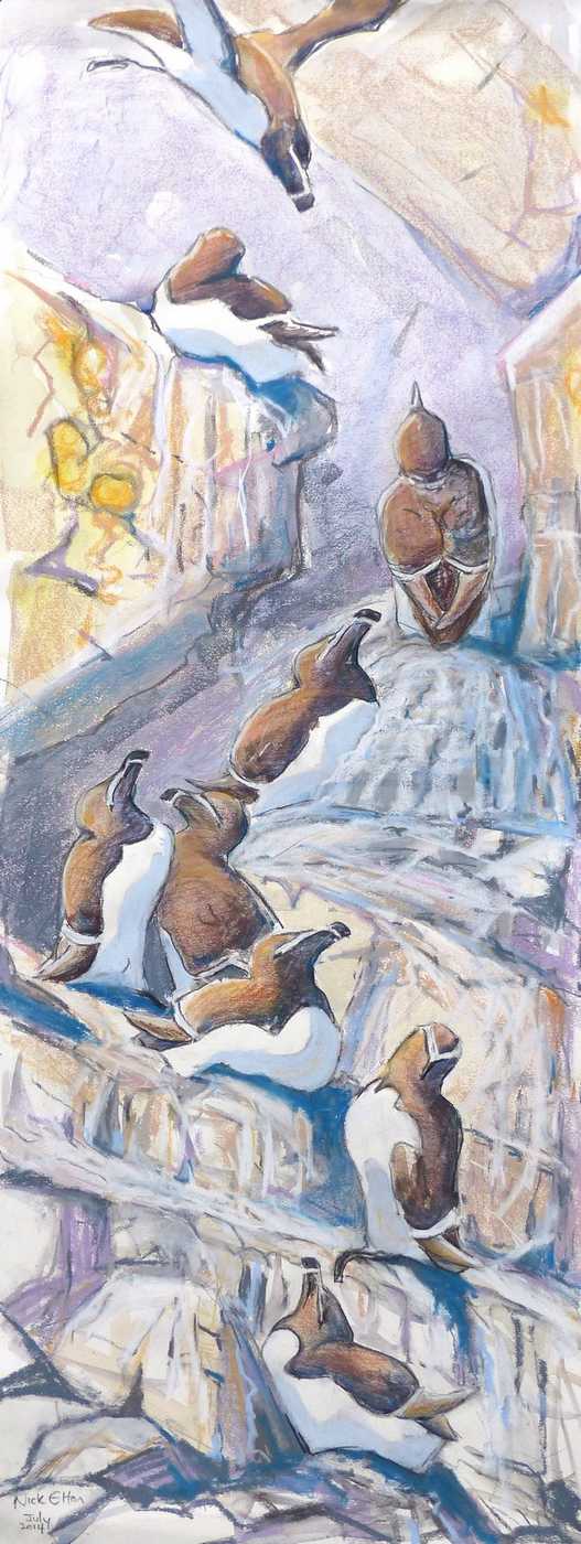 Razorbill end of season gathering at the Marble Cliff